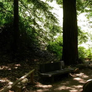 VanSchaick Bench (Bench #30)