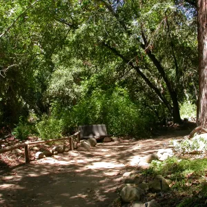 Bliss Bench (Bench #28)