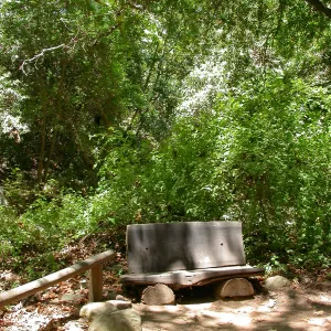 Bliss Bench (Bench #28)