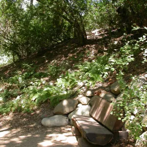 Wentink Bench (Bench #26)