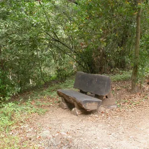 Heaney Bench (Bench #27)