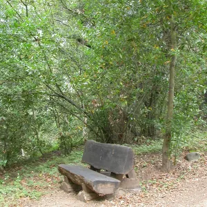 Heaney Bench (Bench #27)