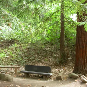 VanSchaick Bench (Bench #30)