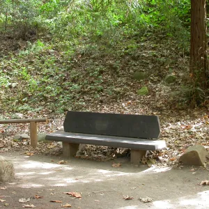 VanSchaick Bench (Bench #30)