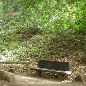 VanSchaick Bench (Bench #30)
