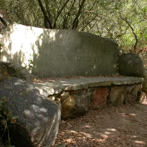 Pritchett Bench (Bench #34)