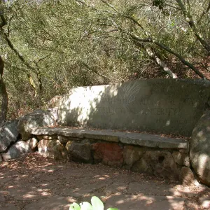 Pritchett Bench (Bench #34)