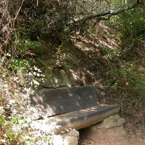 Janeway Bench (Bench #35)