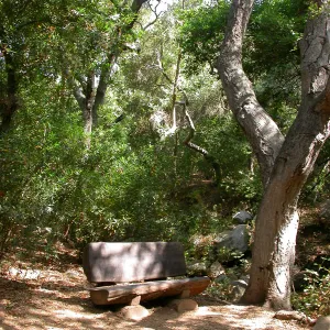 Emanuel Bench (Bench #41)