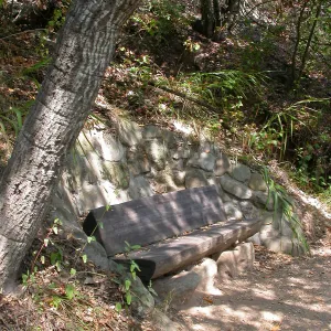 Easton Bench in the Island Section (Bench #46)