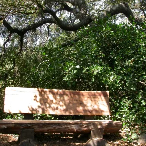 McLean Bench (Bench #54)