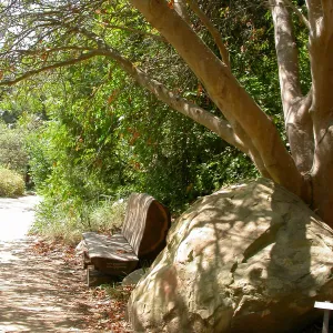 Kahlstrom Bench (Bench #58)