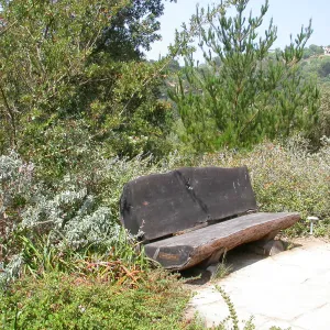 Archibald Bench (Bench #63)