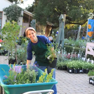 Ariel Ostroff preparing for plant sale