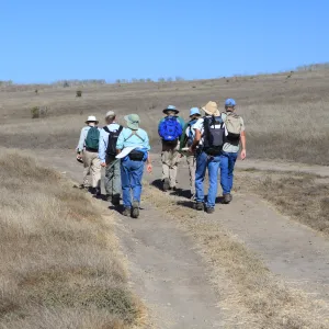 Santa Cruz Island field trip, 2009