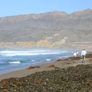 Santa Cruz Island field trip, 2009