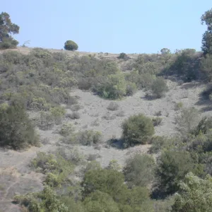 view of Tipton Ridge (RAWS site)
