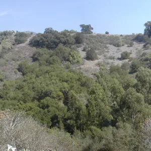 view of Tipton Ridge (RAWS site)