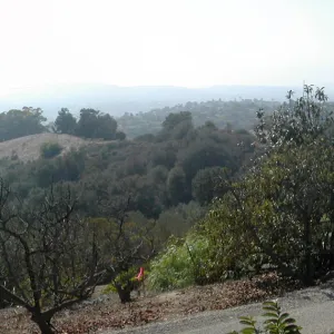 view of Tipton Ridge (RAWS site)