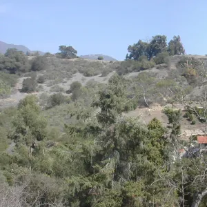 view of Tipton Ridge (RAWS site)