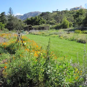 Herb Parker structure in the Meadow