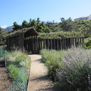 Herb Parker structure in the Meadow