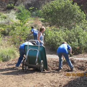 Day of Caring, volunteer activity