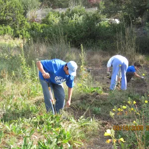 Day of Caring, volunteer activity