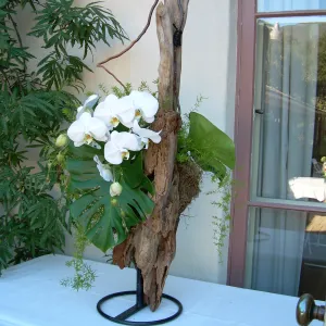 ikebana, floral arrangement