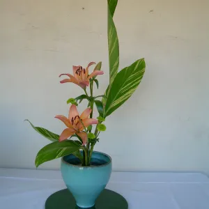 ikebana, floral arrangement