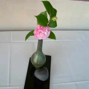 ikebana, floral arrangement