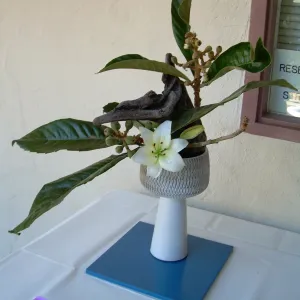 ikebana, floral arrangement