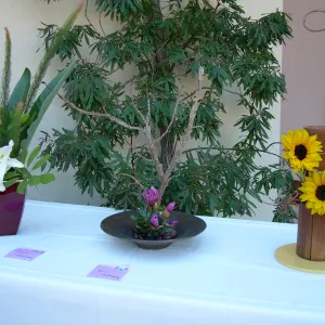 ikebana, floral arrangement