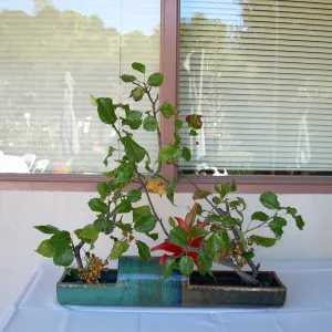 ikebana, floral arrangement