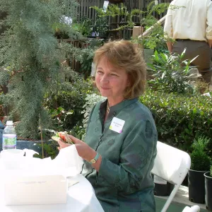 Tea Ceremony event in the Courtyard, 2006