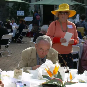 Virginia Gardner, Tea Ceremony event in the Courtyard, 2006
