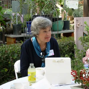 Tea Ceremony event in the Courtyard, 2006