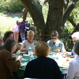 Volunteer Luncheon, 2004