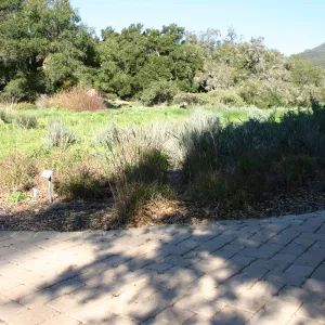 Ground Cover Display, lower Meadow Section