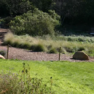 lawn installation adjacent to Toad Hall path in the Meadow
