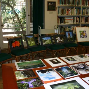 SCAPE Art Exhibit, judging in the Blaksley Library