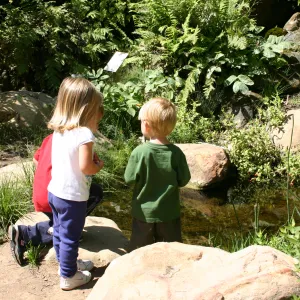 Discovery Garden, children