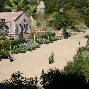Courtyard, SBBG event location