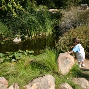 boy looking at the pond