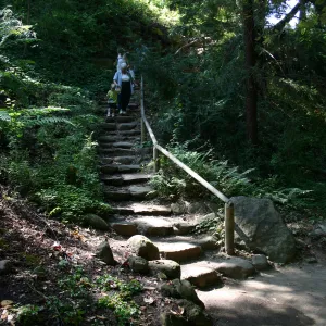 family in the garden, Indian Steps