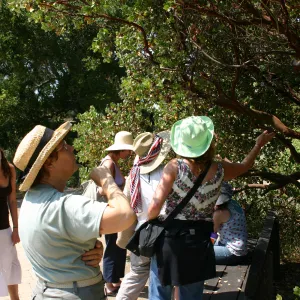 Docent tour in the garden