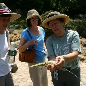 Docent tour in the garden