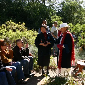 Tea Ceremony, SBBG Tea House garden, Virginia Gardner