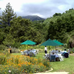 event set up in the Meadow, High Tea in the GardenHigh Tea in the Garden