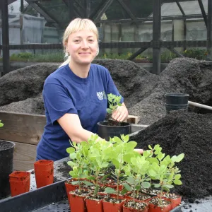 Lucy, Potting up plants at the Hort Unit